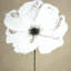 Abstract Abstract Color Splash Flower - Toile encadrée pour salle de bain blanche