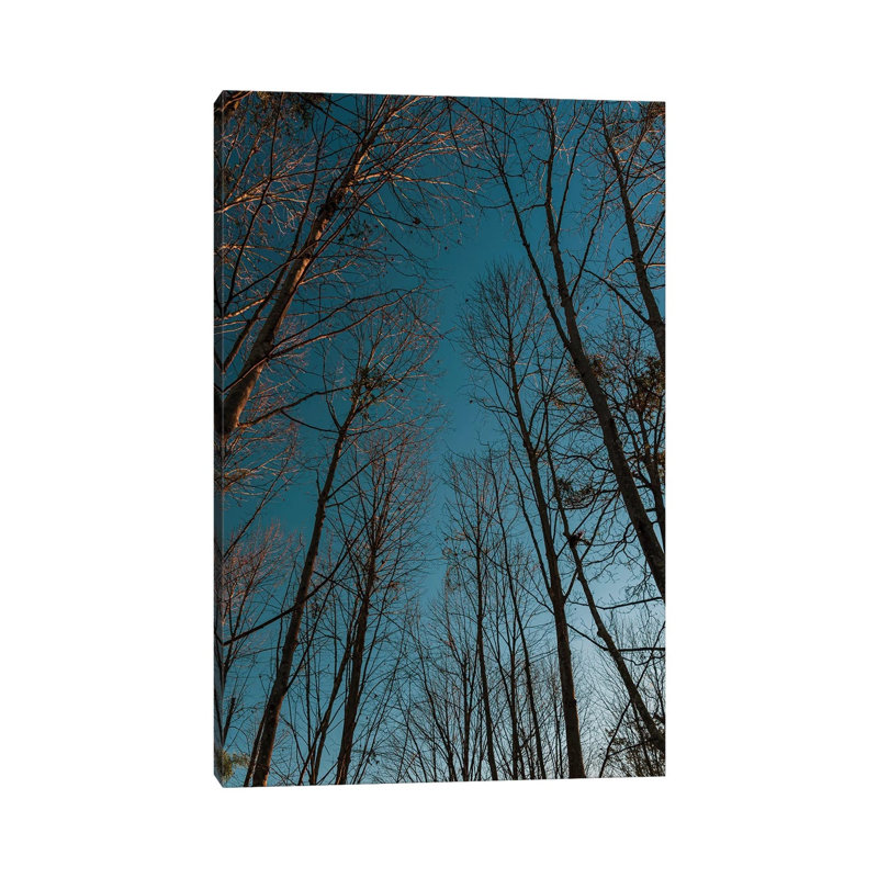 Autumn Path 1 Piece Wrapped Canvas Wall Art, 20.32 cm H x 30.48 cm W