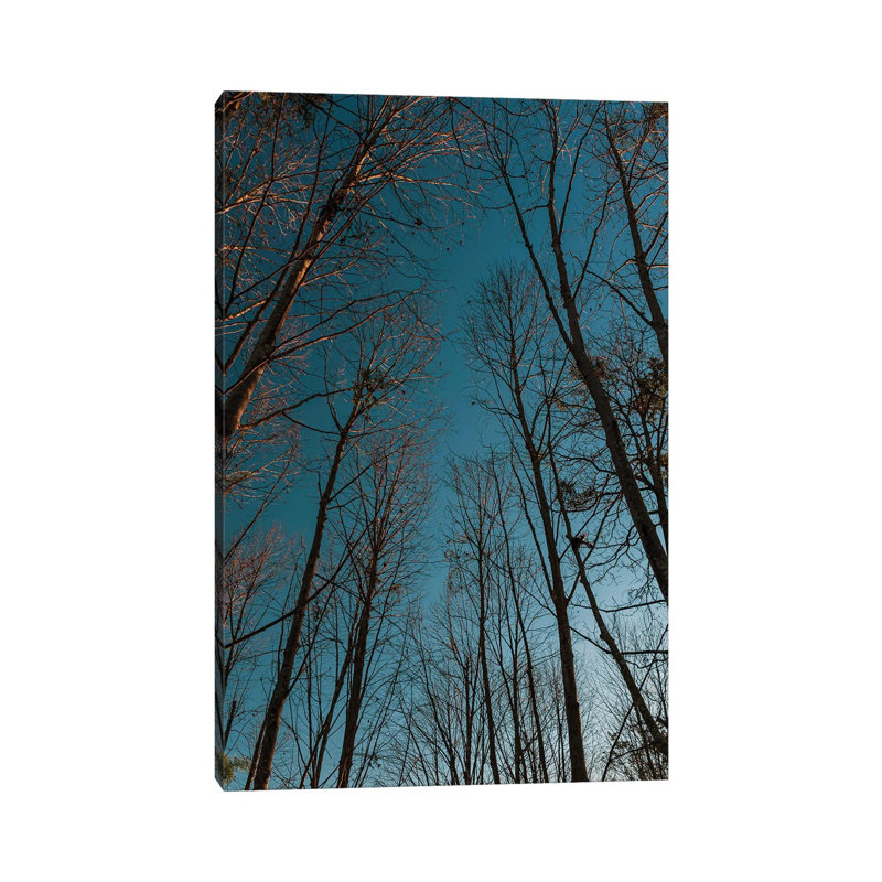 Autumn Path by Alexandre Venancio - Wrapped Canvas Print, 20.32 cm H x 30.48 cm W