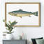 «Small Small Antique Fish V», reproduction d'art graphique sur toile-2078499884-2078499881