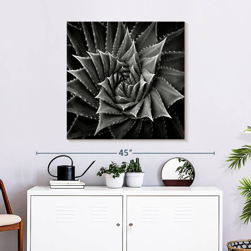 Harnek BW Succulent I, H 30 po x l 30 po
