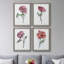 «Watercolor Floral Contour I», ensemble de 4 reproductions d'art sur toile encadrées-2079707332-2079707339
