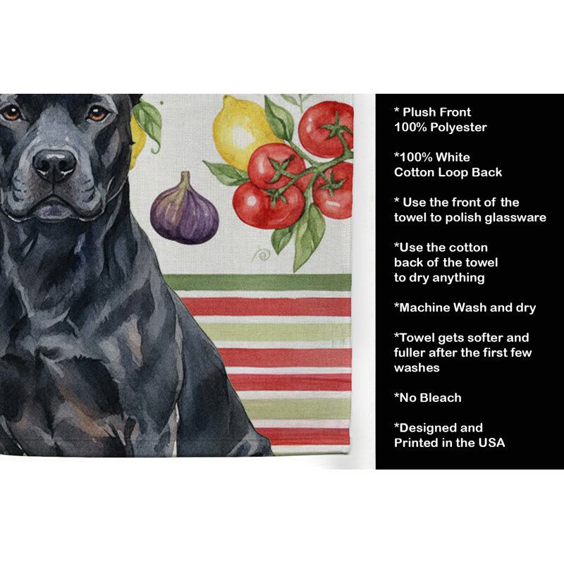 Torchon noir Staffordshire Terrier, Black American Staffordshire Terrier