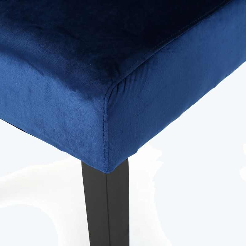 Petersburg 19.49'' H Tufted Upholstered Side Chair, Blue