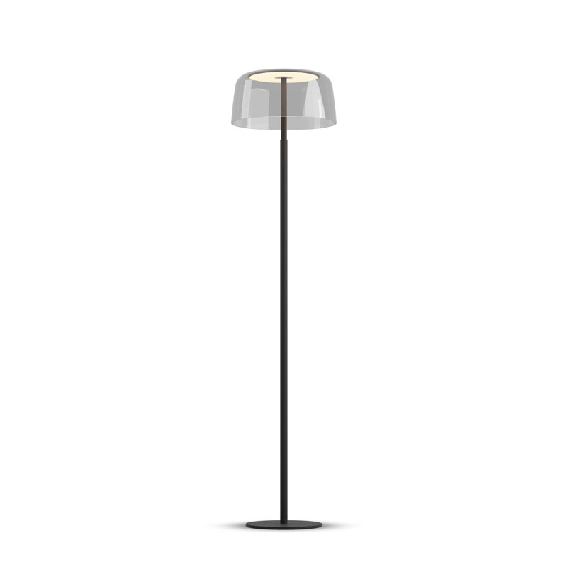 Yurei 51.5'' LED Traditional Floor Lamp with USB, Matte Black, Clear
