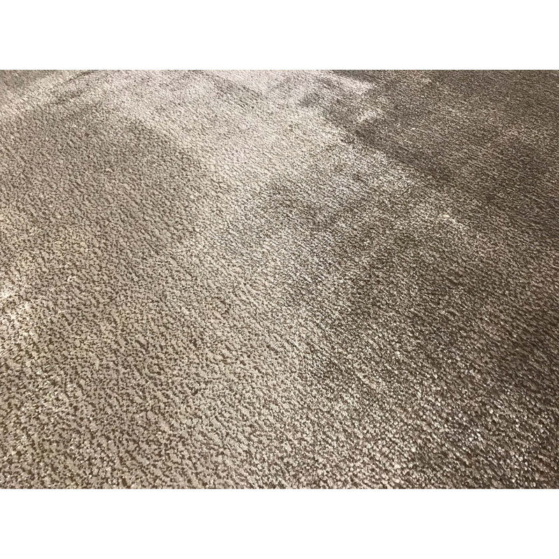 Wool Area Rug in Gray