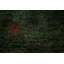 Tapis décoratif tribal vert Gabbeh 3 x 5