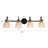 Hampson 4 - Light Dimmable Vanity Light