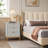 Becnel 19.7'' W Nightstand-2082711000