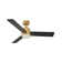 Morrow 48'' Ceiling Fan with LED Lights