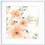 «Blush Garden III» par June Erica Vess - peinture encadrée-1082128060-1188370759