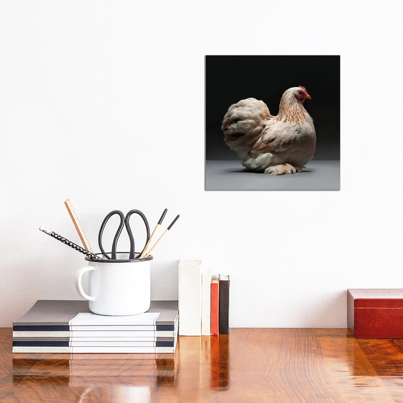 Cochin Bantam by CHICken - Wrapped Canvas Print, 30.48 cm H x 30.48 cm W