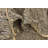 Noack Navy Blue Rug
