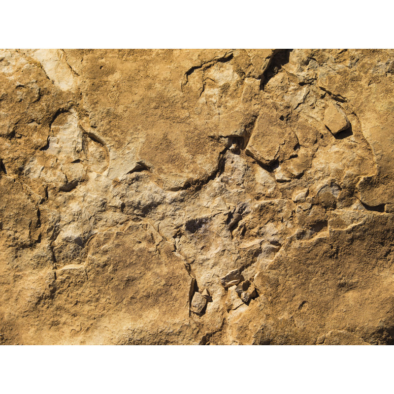 2.8m x 372cm 3D Embossed Distressed Wall Mural