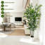 Arbre à ficus artificiel de 6 pi de hauteur avec pot à fleurs en plastique blanc et mousse verte, plantes artificielles avec feuilles de soie réalistes, arbre artificiel résistant aux rayons UV pour la maison, le bureau et le jardin-88729777