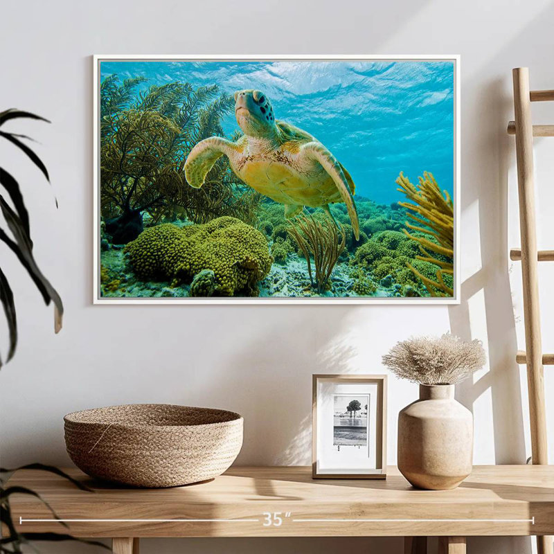 Tortue dans le récif de Bonaire, Cadre flottant blanc, 25 po x 17 po