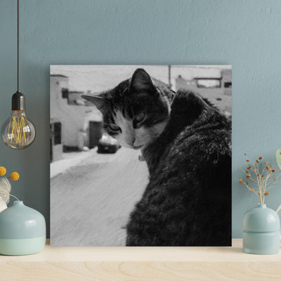 " Grayscale Photo Of A Tabby Cat In The House " Painting Print
