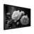 Cadre photo noir