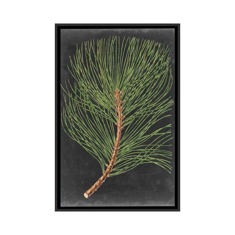 «Dramatic Pine III», impression sur toile, H 26 po x l 18 po x P 1,5 po, Toile avec cadre noir, Pas de tapis