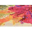 Tapis rose / vert Rizer-19498570