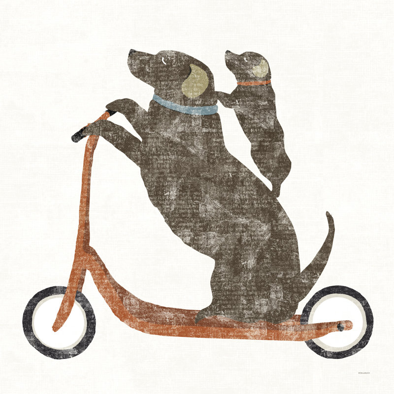 Labrador, chiens, scooter, laboratoire de chocolat, mignon, brun, rouge, blanc, H 24 po x l 36 po x P 1,5 po