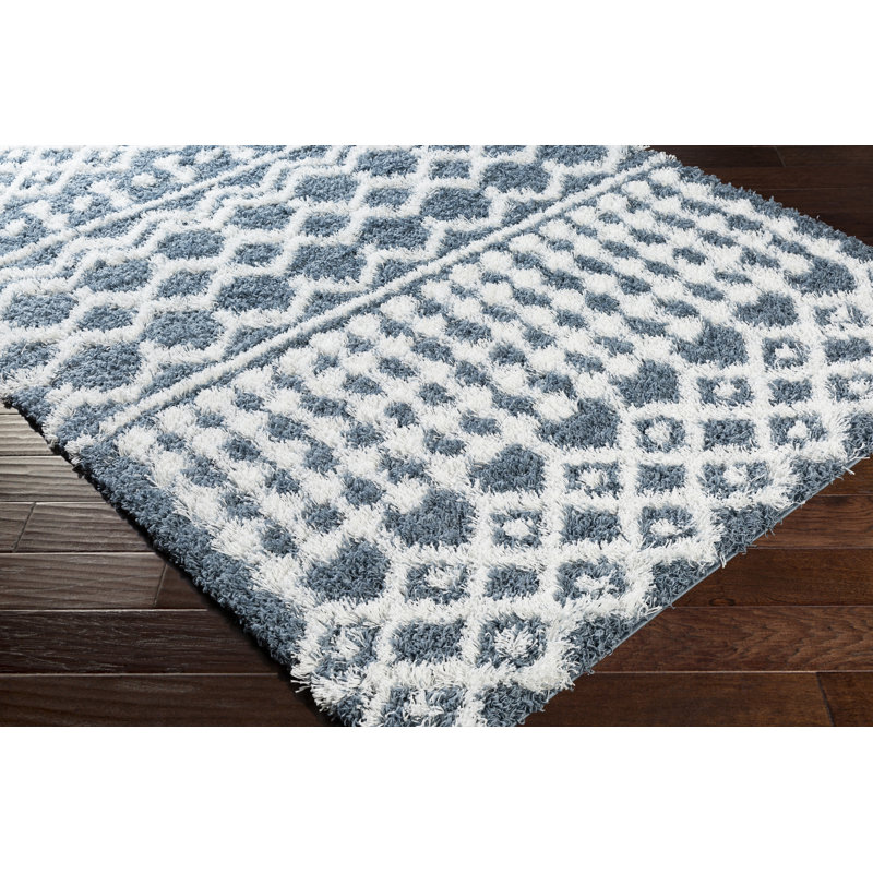 Cousteau Moroccan Indoor Rug, Rectangle 2' x 2'11"