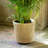 La Boheme Rattan Pot Planter
