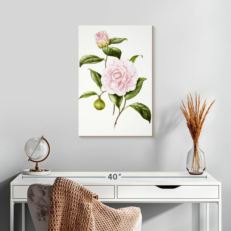 Fleur Harnek, H 24 po x l 16 po