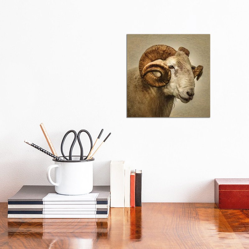 Ram by Mark Gemmell - Wrapped Canvas Print, 30.48 cm H x 30.48 cm W