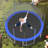 14FT Trampoline For Kids With Safety Inner Enclosure Net, Easy Assembly Round Outdoor Recreational Trampoline High Stability