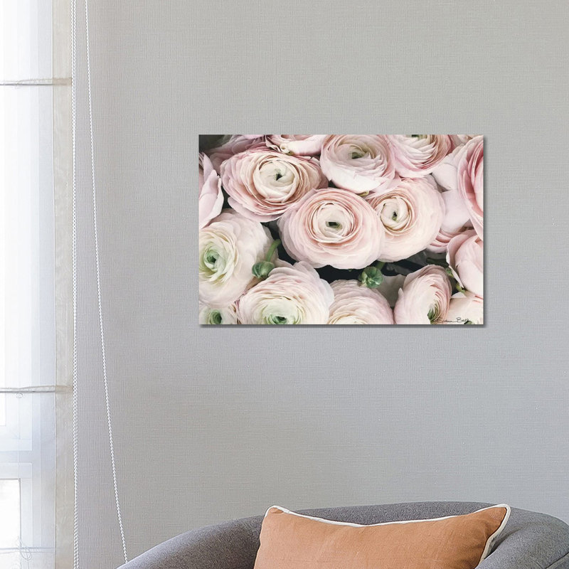 Soft Ranunculus, 45.72cm H x 66.04cm W