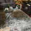 Customer photo 2 of 2