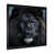 Black Picture Framed