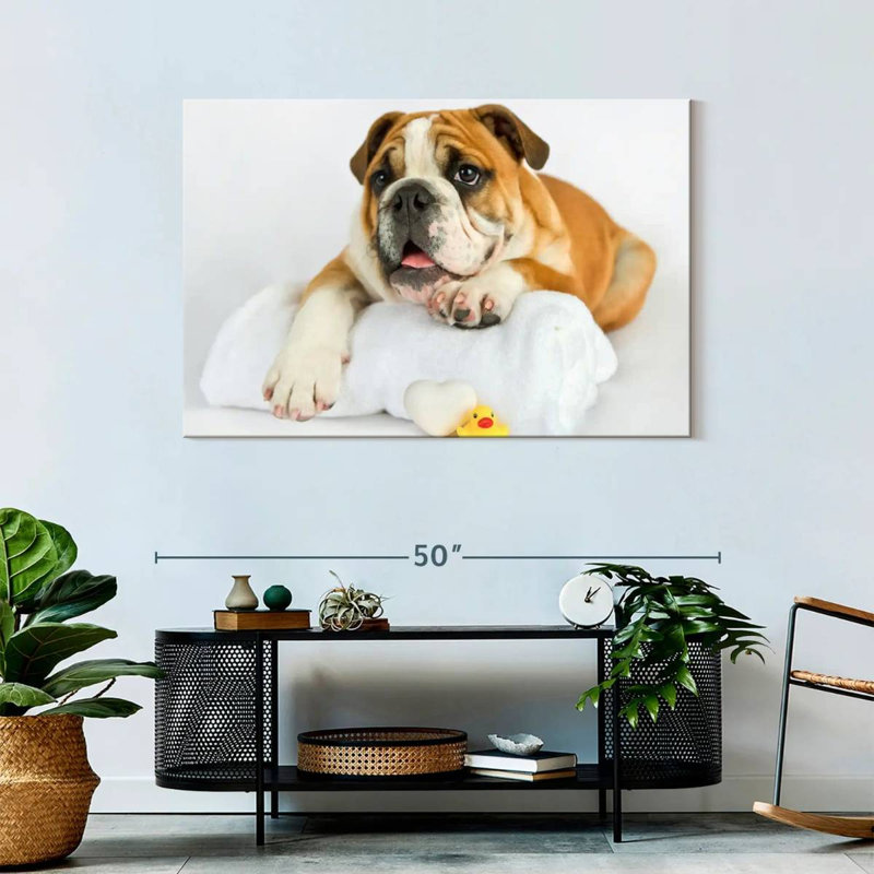 Brampt Donald I, 30" H x 45" W