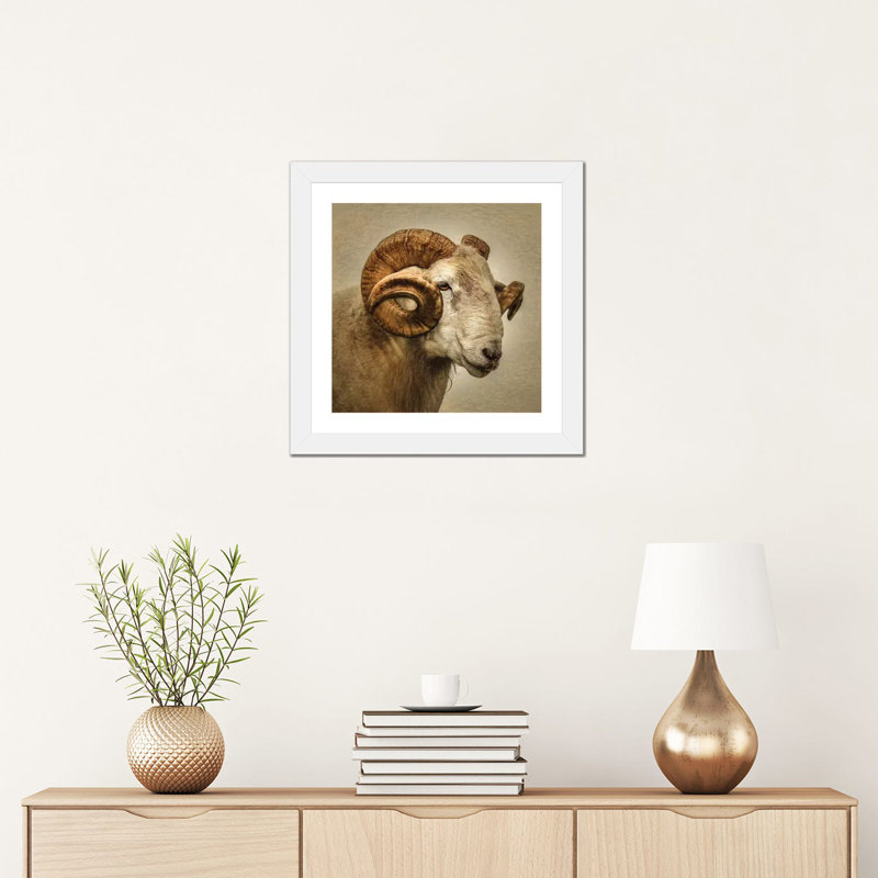 « RAM » par Mark Gemmell-impression d’art graphique, Blanc, H 16 po x l 16 po x P 1 po, Papier blanc