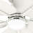 Hunter 52 inch Tropic View Damp Rated Ceiling Fan with Lights and Wall Control-110404131