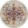 Oriental Indoor Rug