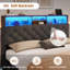 Upholstered Platform Storage Bed-2123769639