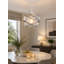 16cm H Plastic Novelty Pendant Shade ( Screw On ) in Clear