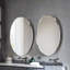 Audrye Oval Mirror with Hooks