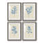 Verditer Fig I - ensemble de 4 peintures encadrées-939689374-939689369