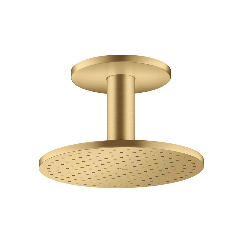 ShowerSolutions Showerhead 250 2-Jet Ceiling Connection, 2.5 GPM, Brushed Gold Optic