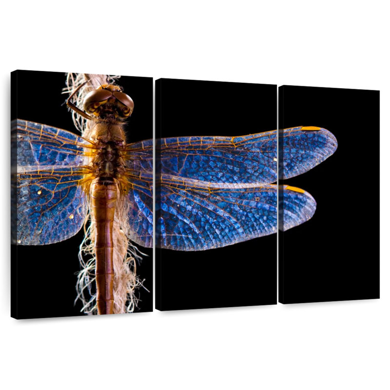 Brampt Blue Dragonfly Wings, 48" H x 74" W