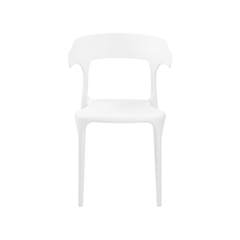 Glowacki Dining Chair, White