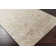 Paxson Viscose Southwestern Indoor Rug