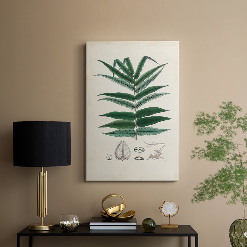 Collectionné fougères ix - galerie sur mesure, H 60 po x l 40 po
