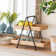 Park Hill 2-Tiered Water Hyacinth Server | Rustic Charm