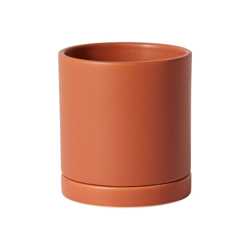 Pot de fleurs en céramique Carlotta, H 4,75 po x l 4,25 po x P 4,25 po, Terre cuite