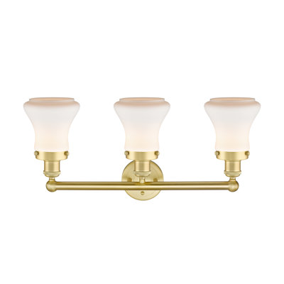 Asadbek 3 - Light Dimmable Vanity Light