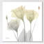 Sunday Morning Gentian - Wrapped Canvas Print-1629335729